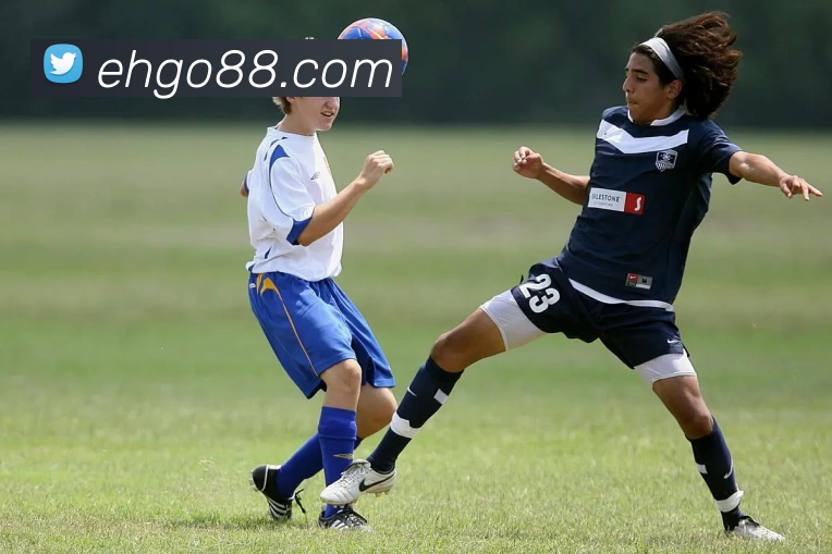 易换官网平台生态图